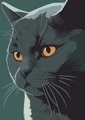 Gray Cat Portrait