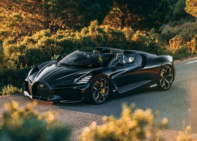 Black Bugatti Roadster