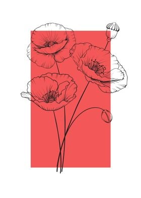 Poppy Flower Line Art