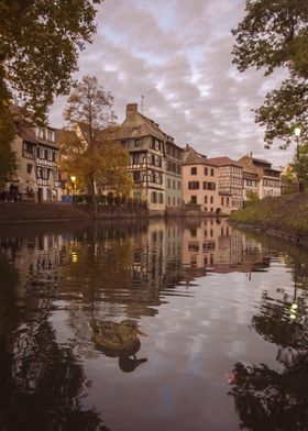 Duck in Canal with Old Town Reflection - Strasbourg, Alsace, France