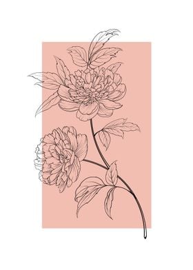 Line Art Peony Flower