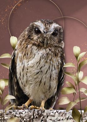 Bare-legged owl