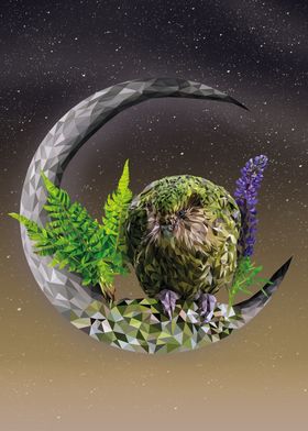 Kakapo on Crescent Moon