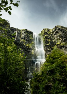 Waterfall in Lush Forest