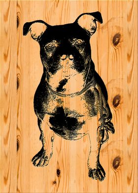 Pitbull Woodcut