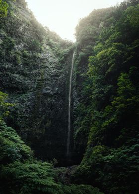 Caldeirão Verde Waterfall Madeira