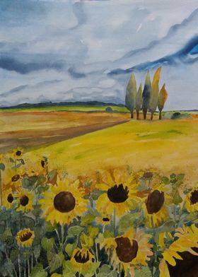 Sunflowers Field Watercolor