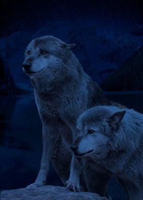 Wolves Under Night Sky