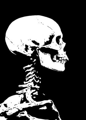 Skeleton Skull Profile