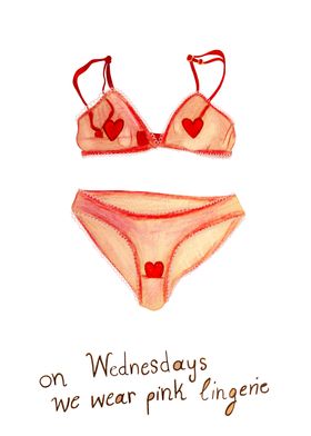 Pink Lingerie Illustration