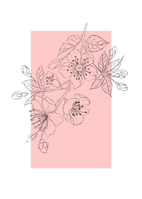 Line Art Cherry Blossom Branch