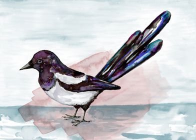 Magpie Watercolor Painting