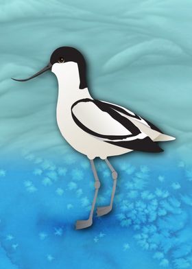 Avocet Bird Illustration