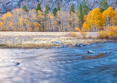 Autumn River Landscape