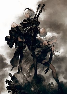 2B &amp; 9S Nier Automata