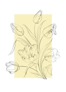 Line Art Tulip Bouquet