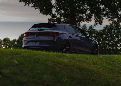 CUPRA Leon Rear View