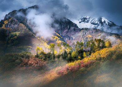 Colorado Misty Mountains