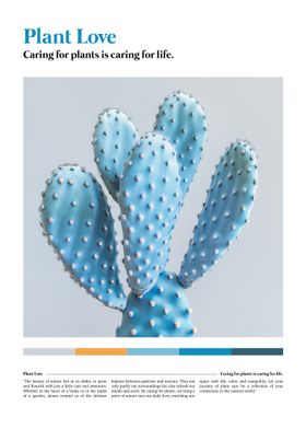 Blue Cactus Plant Love