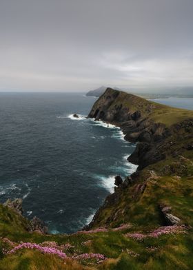 Coastal Cliffs and Ocean