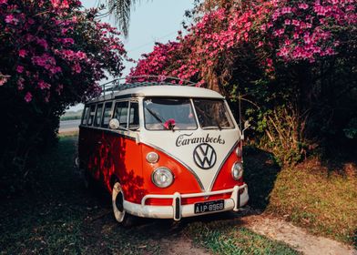 Vintage Bus in Bloom