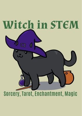 Witch Cat in STEM