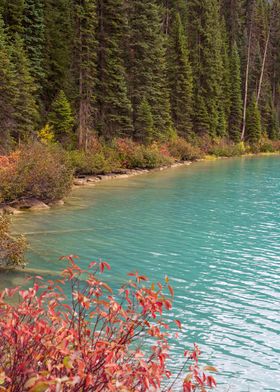 Emerald Lake in Autumn | British Columbia Canada