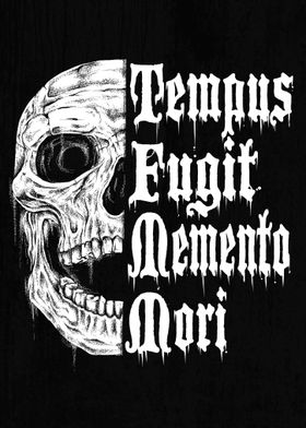 Tempus Fugit Memento Mori Skull Art