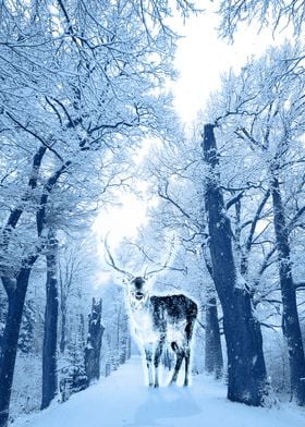 Snowy Forest Deer