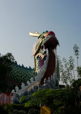 Taiwan Dragon