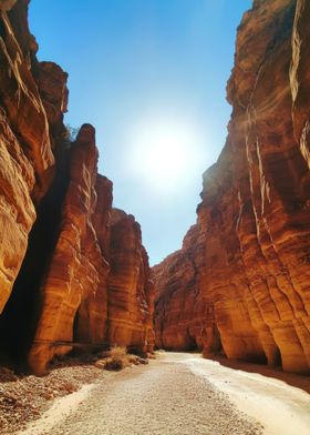 Canyon Landscape