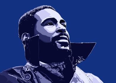 Marvin Gaye Pop Art