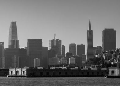 San Francisco Skyline Black And White