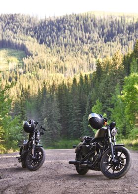 Two Motorcycles in Forest