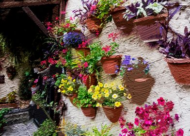 Flower Pots on Wall