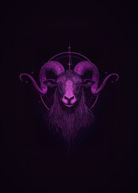 Capricorn Zodiac