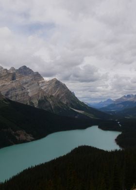 Lake Peyto