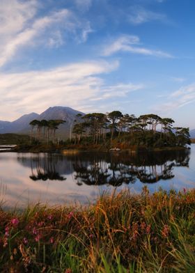 Island Reflection