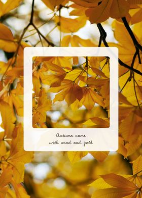 Autumn Leaves 