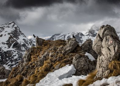 Mountaintop with Crows