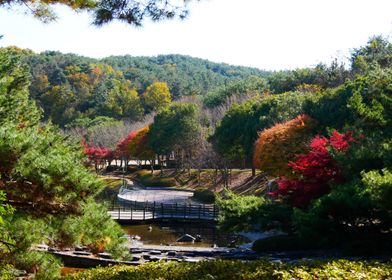 Autumn Park in Korea