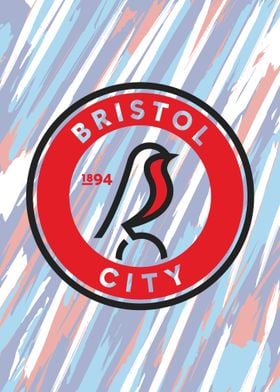 Bristol City Football Club 