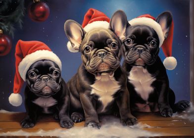 Three French Bulldogs in Santa Hats