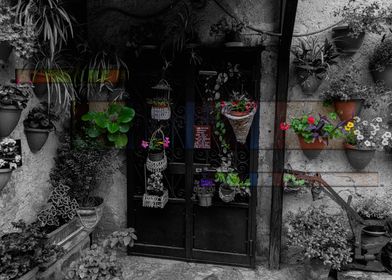 Doorway with Hanging Plants