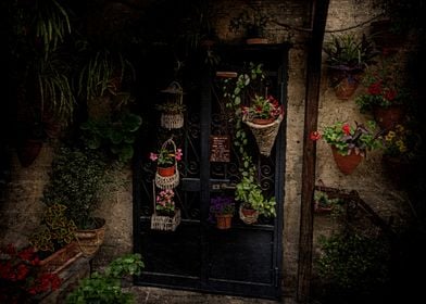 Flower Pots and Doorway