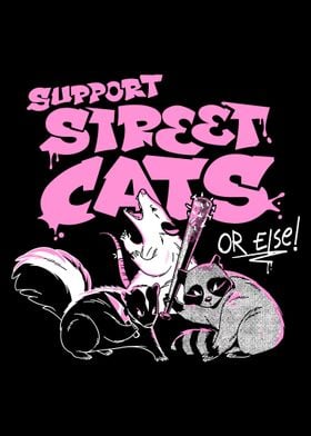 Support Street Cats