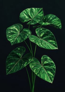 Green Plant Leaves