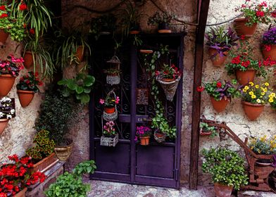 Floral Doorway