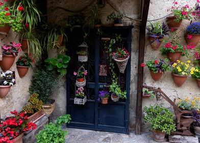 Flower-Adorned Doorway