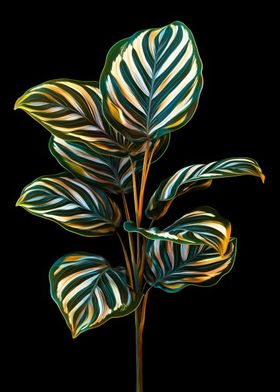 Tropical Plant with Striped Leaves